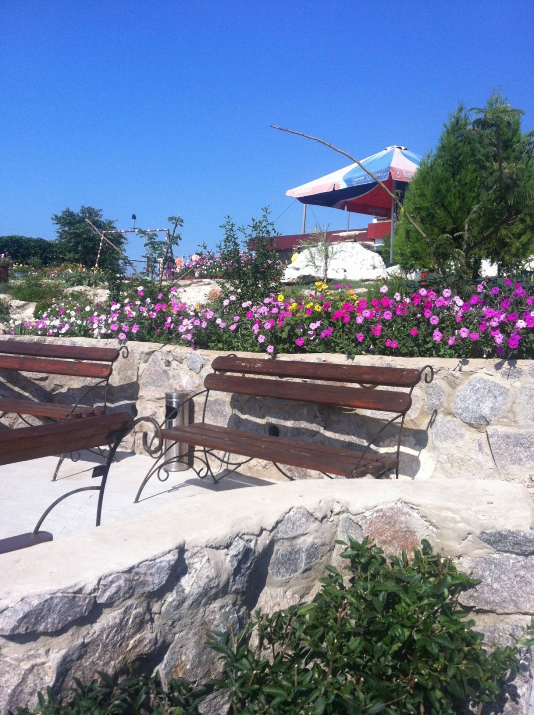 Фото Регата