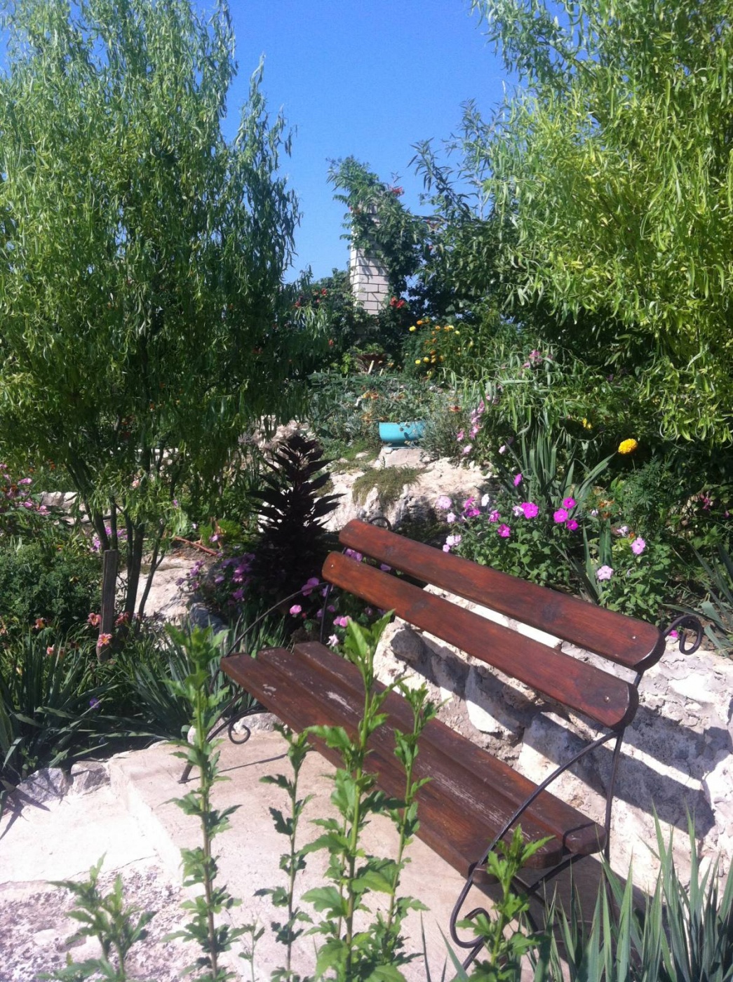 Фото Регата