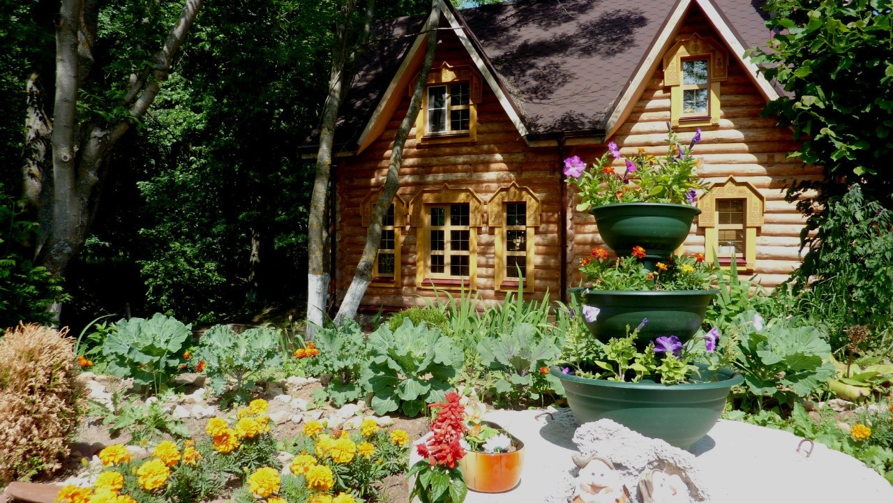 Фото Живые родники