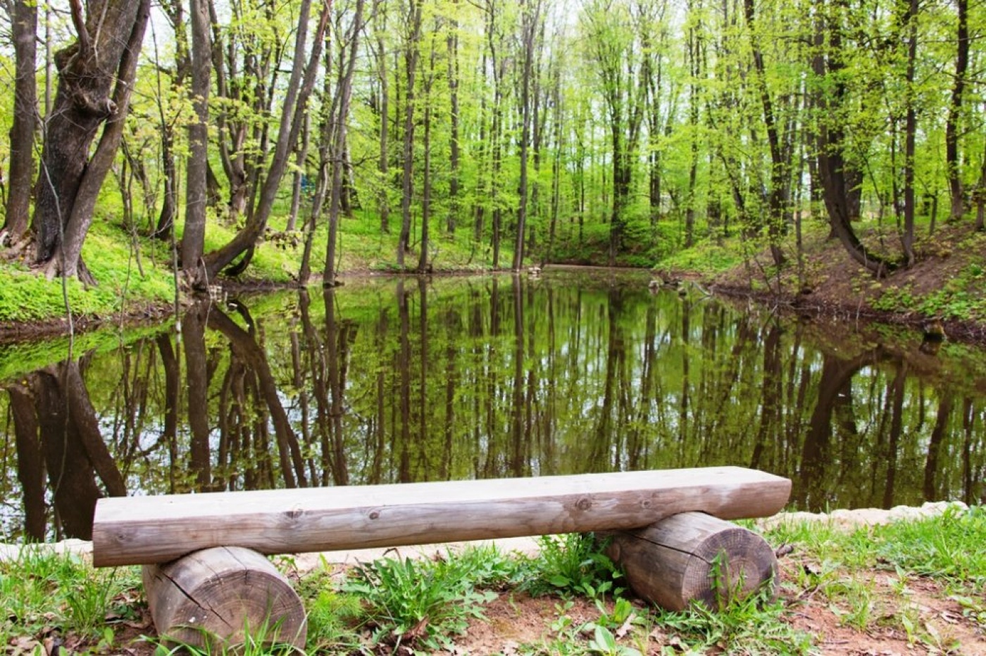 Фото Живые родники
