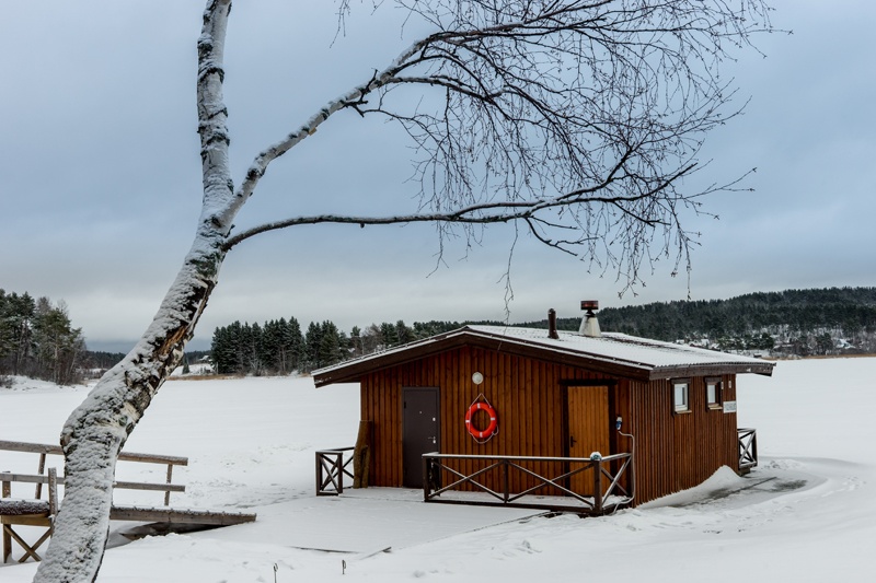 Фото Ламберг