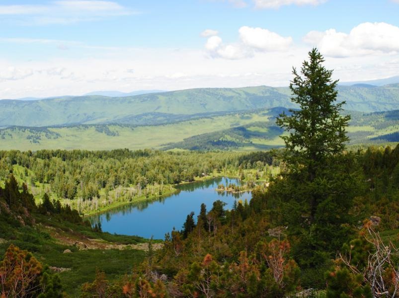 Фото Уймонская Жемчужина