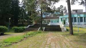 Сокол