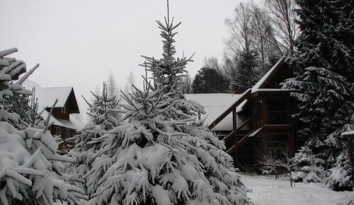 Дом в аренду Шишки в Пеновском районе