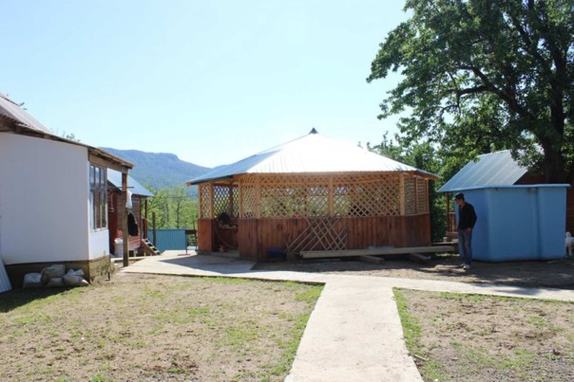 Фото Светлячок