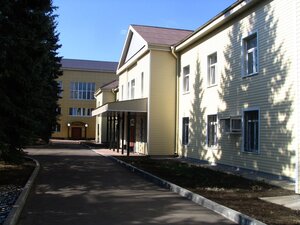 Сосны