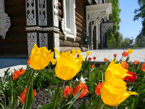 Дом Отдыха Загородный клуб Волков в Засечном