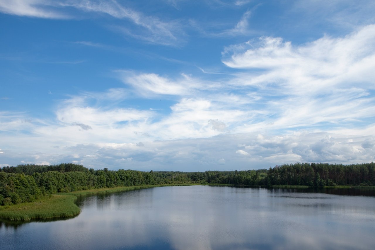 Фото Гостевая усадьба Тригорская 1
