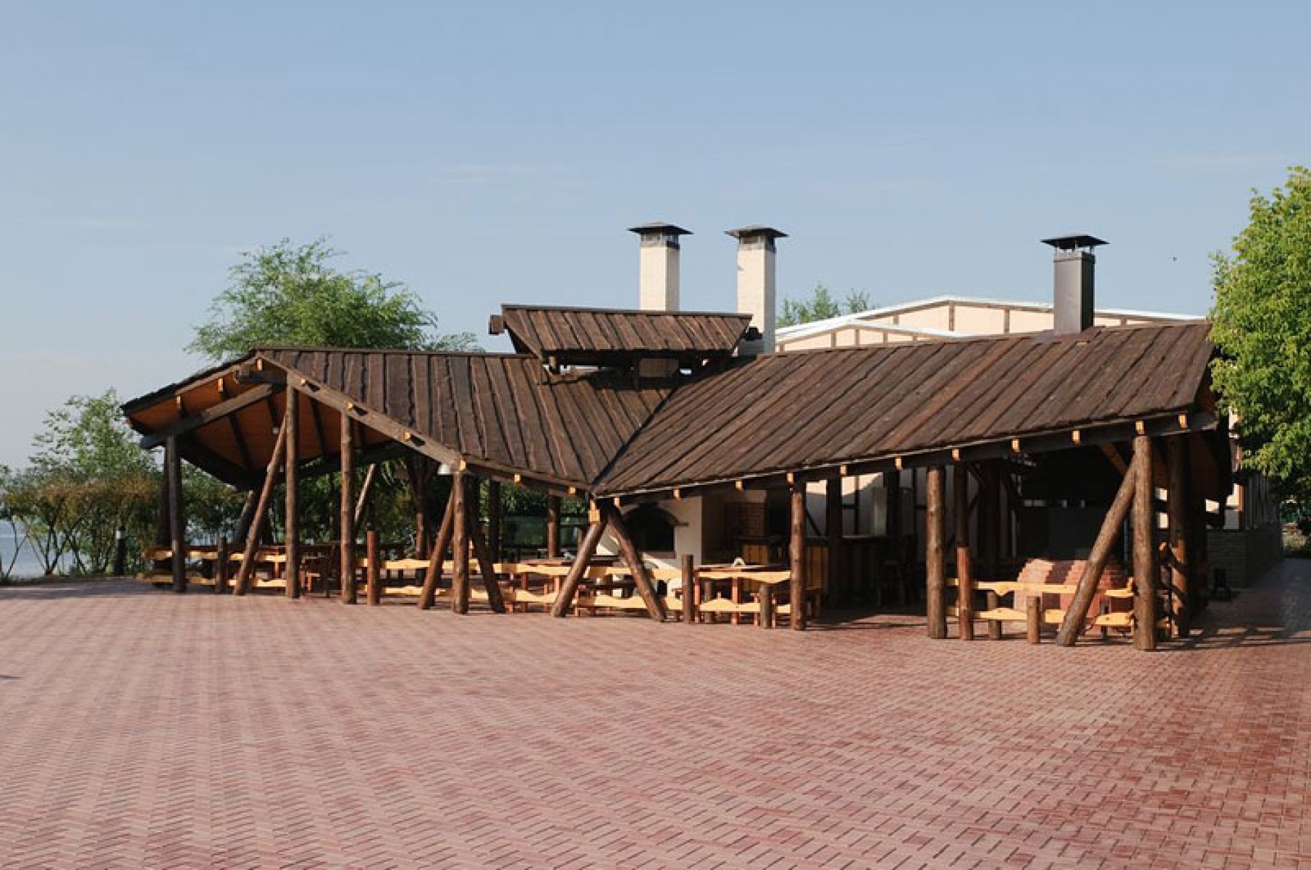 Фото Подсолнух