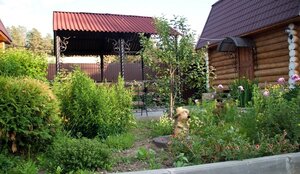 Деревенька Аракуль