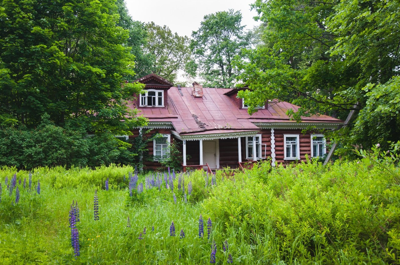 Фото Лесная дача