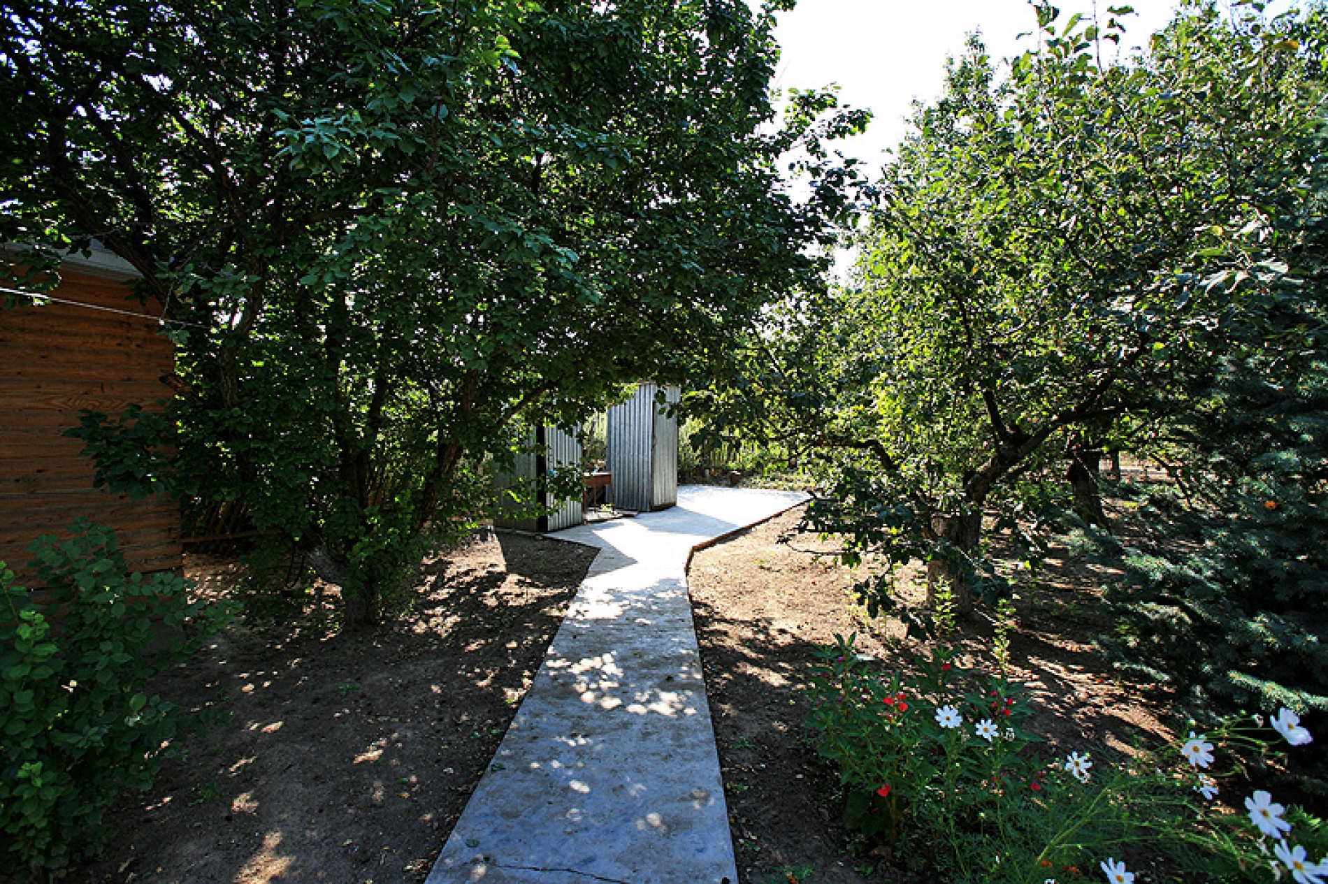 Фото Дом на реке