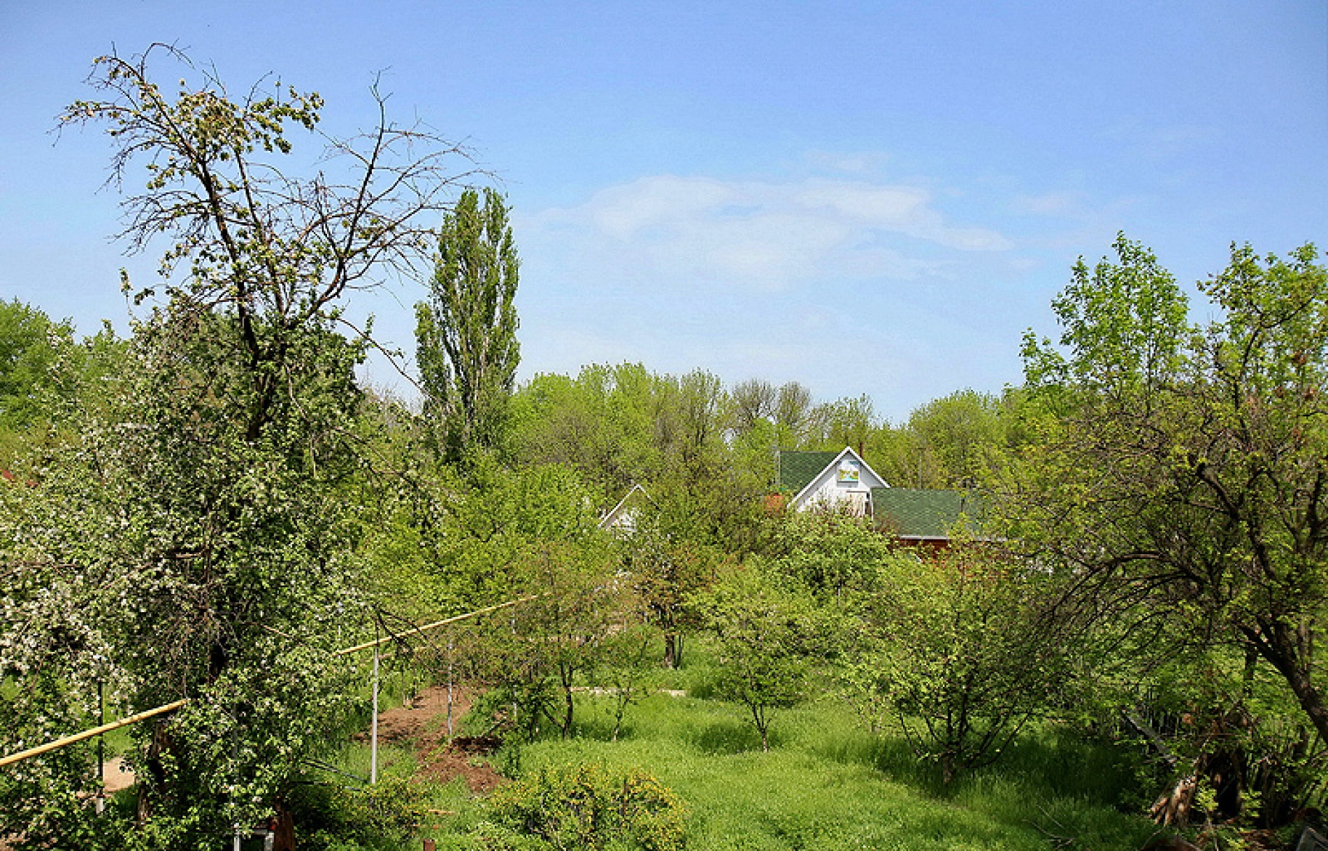 Фото Дом на реке