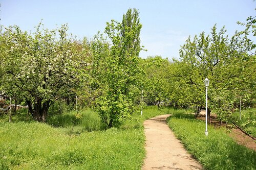 Дом на реке фото 8