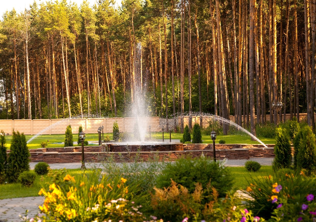 Фото Сосновый бор