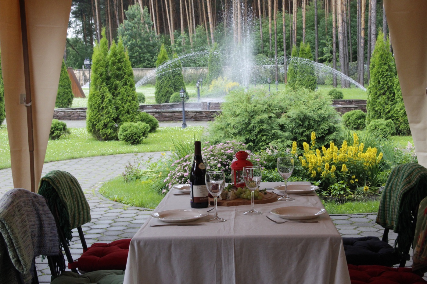 Фото Сосновый бор