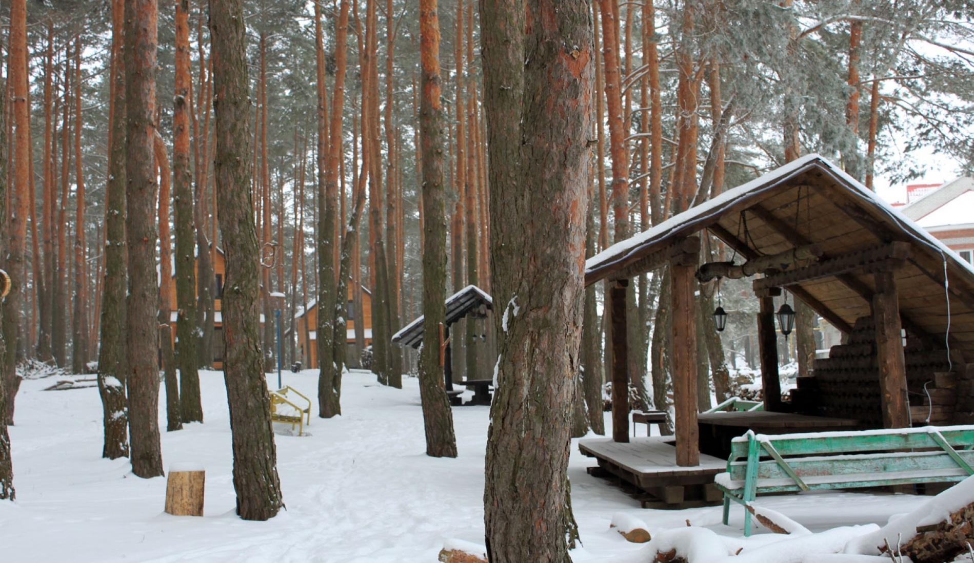 Фото Аркадия