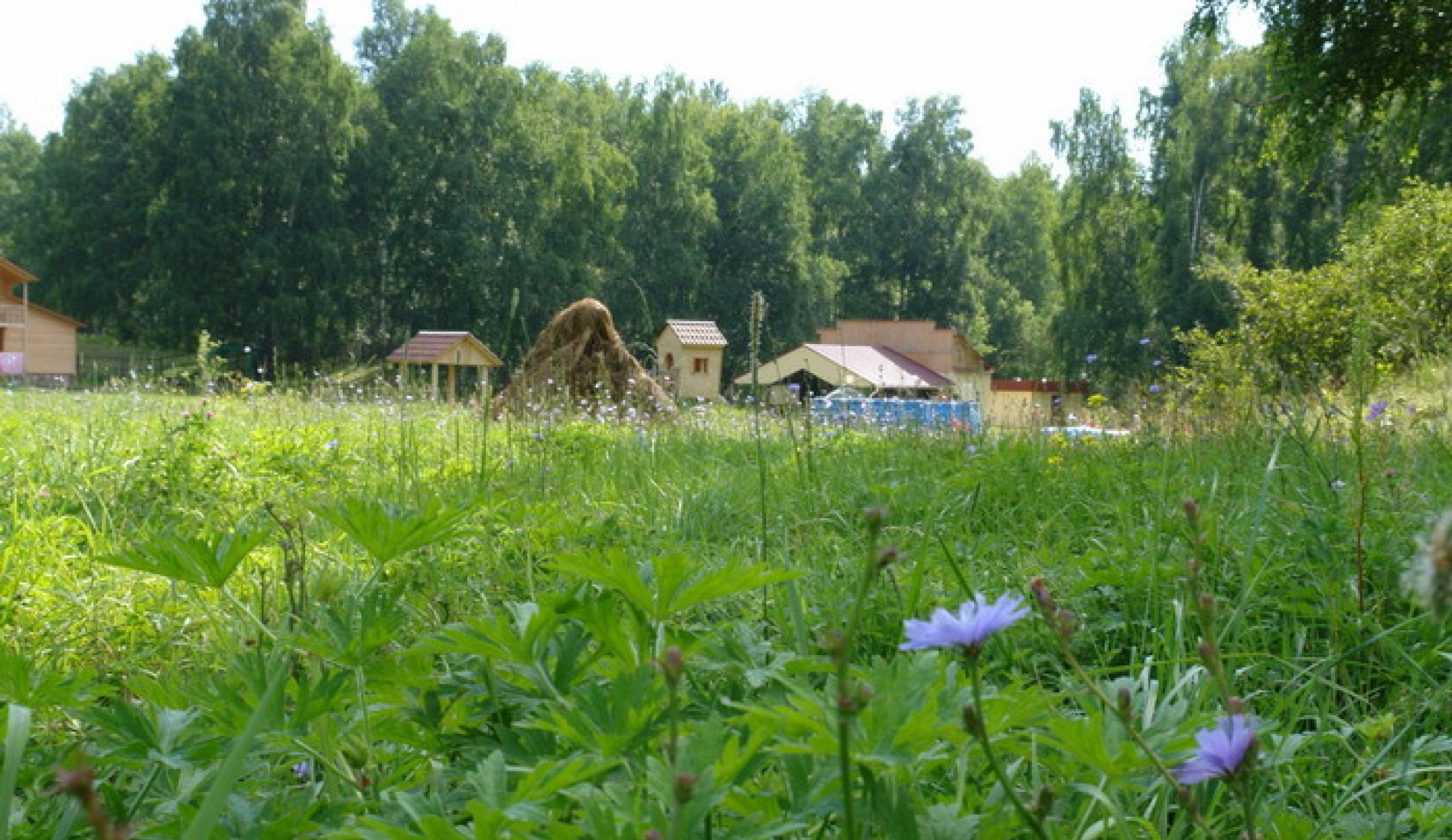 Фото Золоторудная