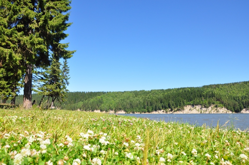 Фото Русская усадьба