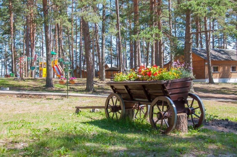 Фото Лукоморье