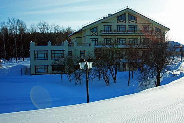 Фото Алая роза