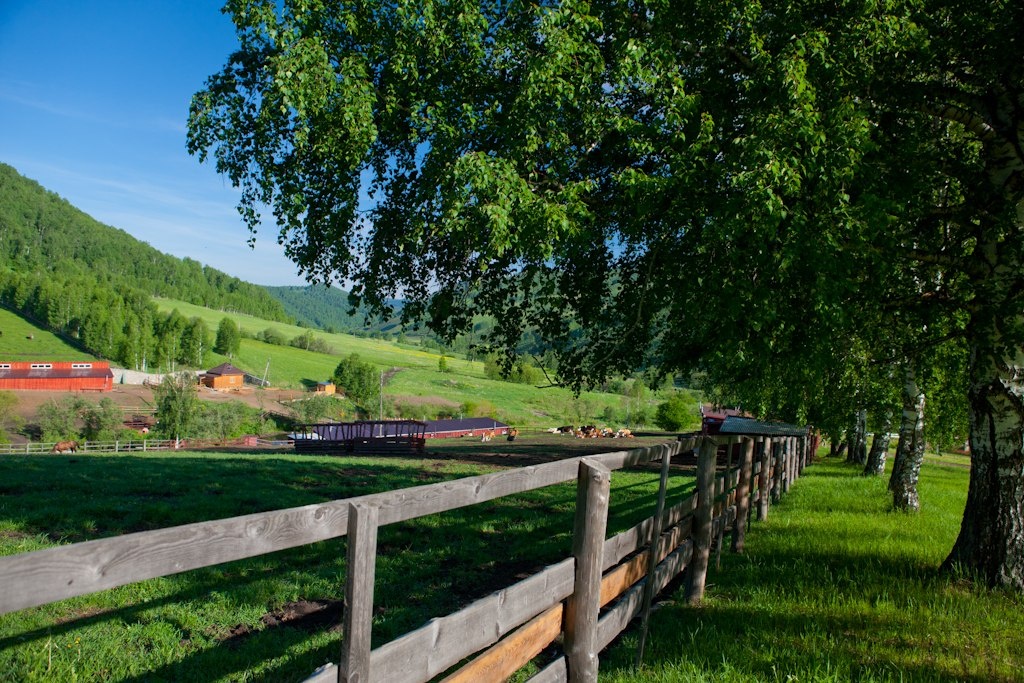 Фото База отдыха Басаргино