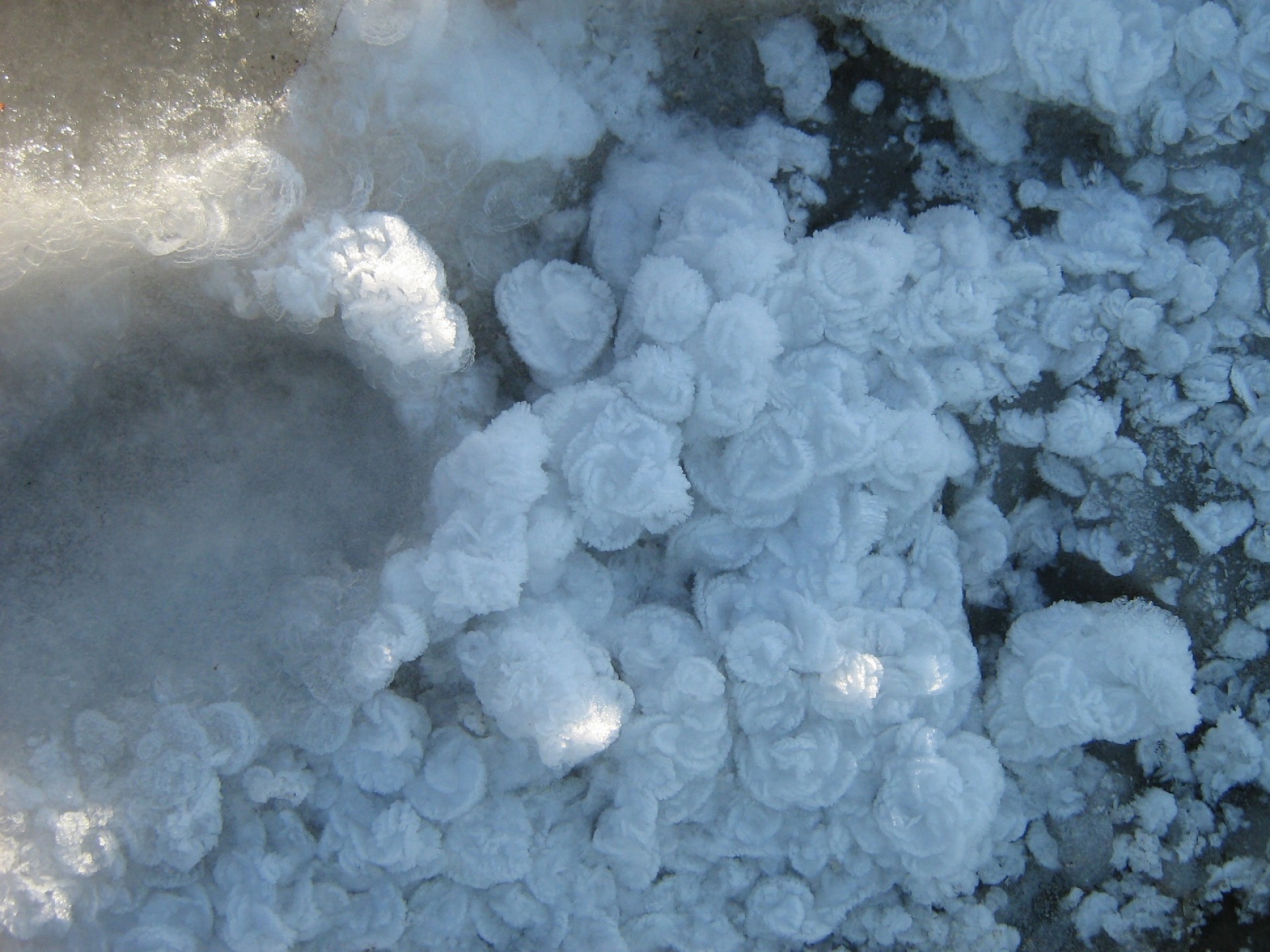 Фото Гостевой Дом Нахалёнок