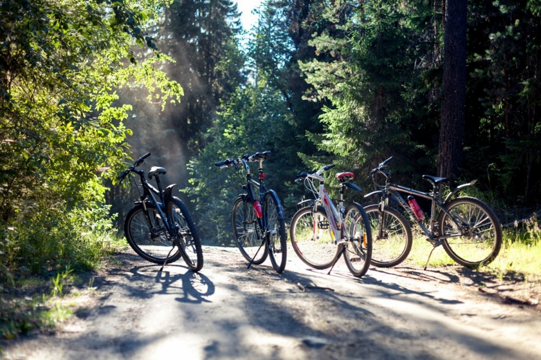 Фото Отель-клуб Гардарика