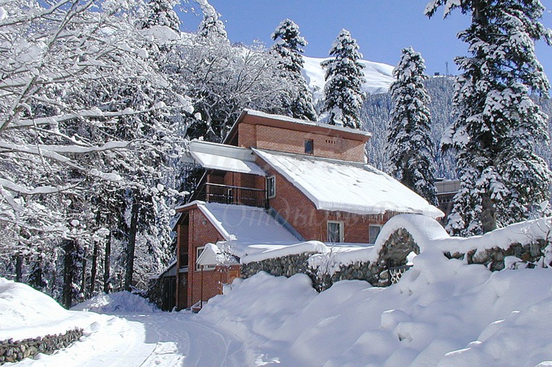 Фото Снежинка