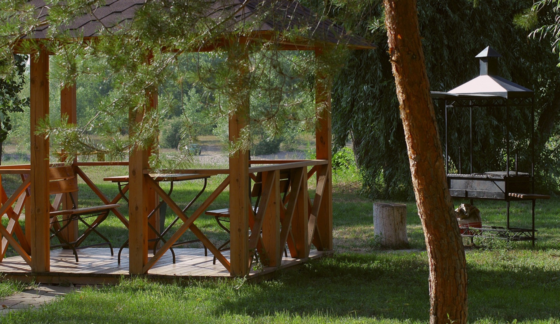 Фото Лесная