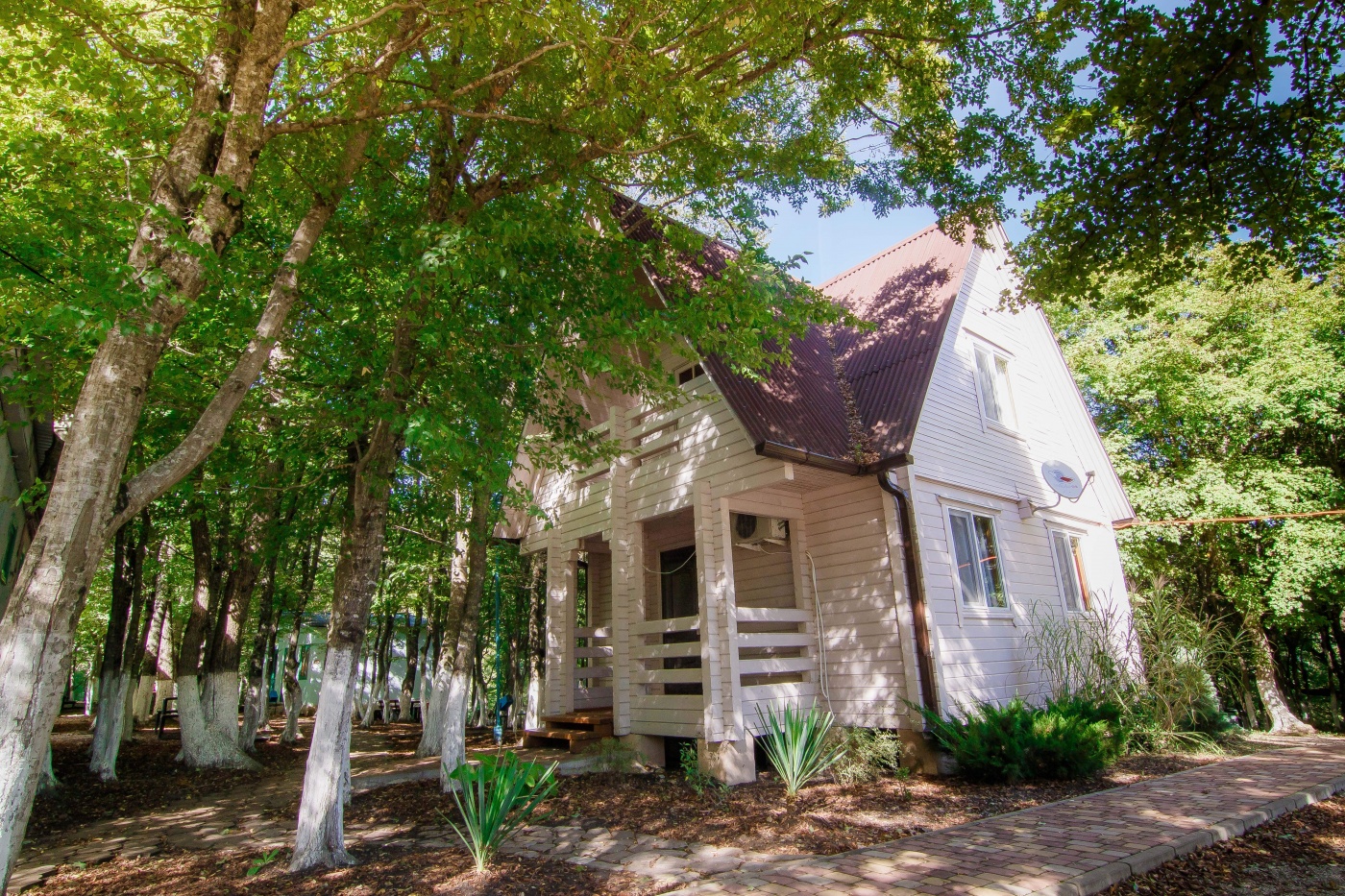 Фото Бирюза-Юг