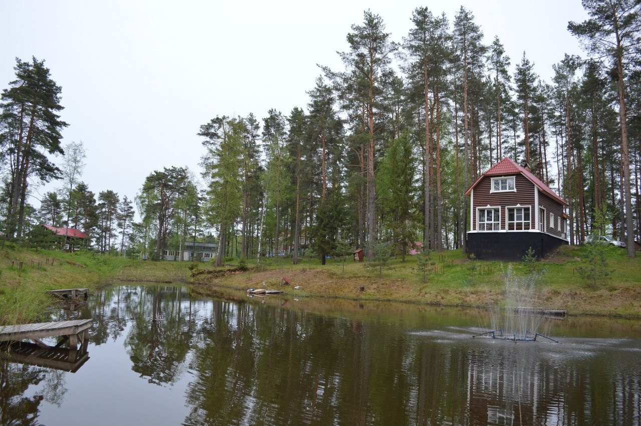 Фото Алёнушка