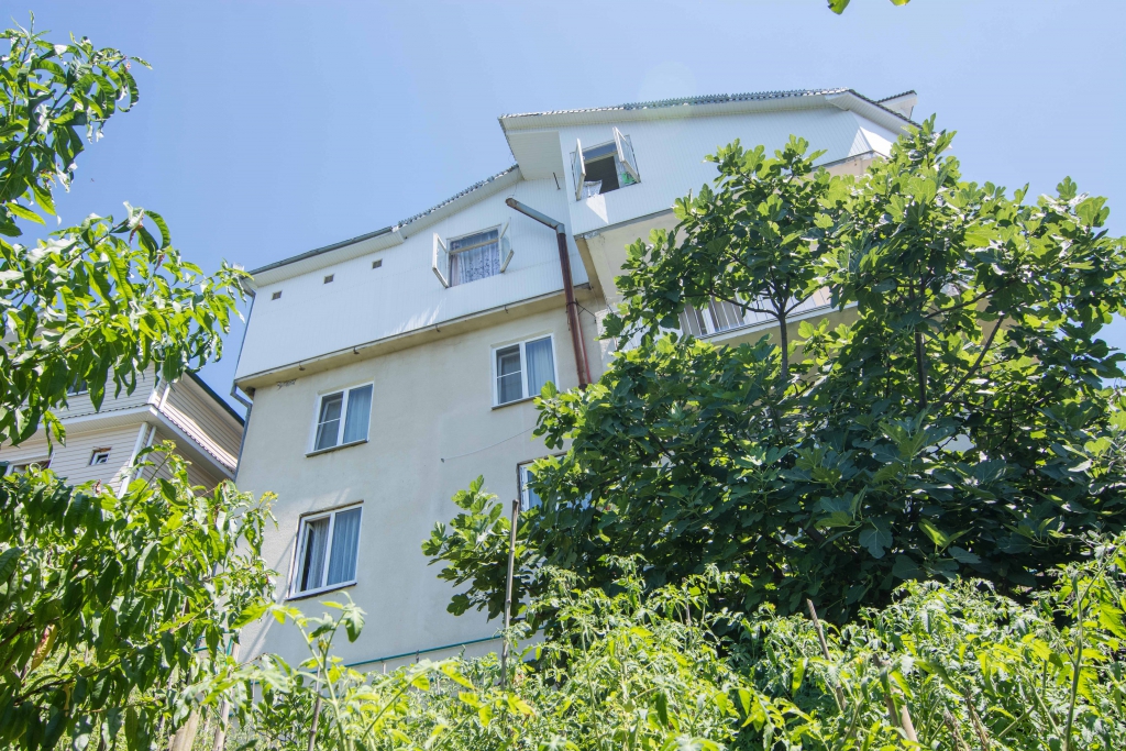 Фото Панорама