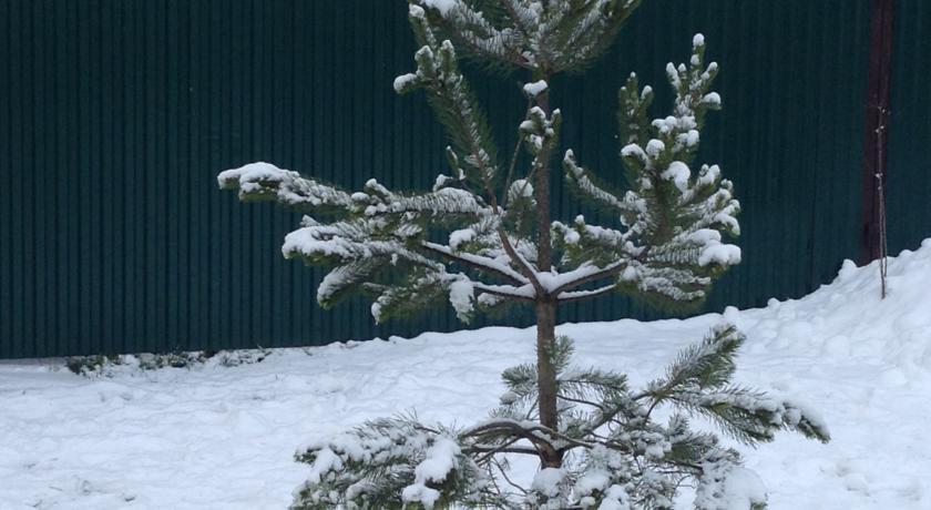 Фото Гостевой дом на Всполье