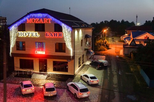 Отель моцарт динская