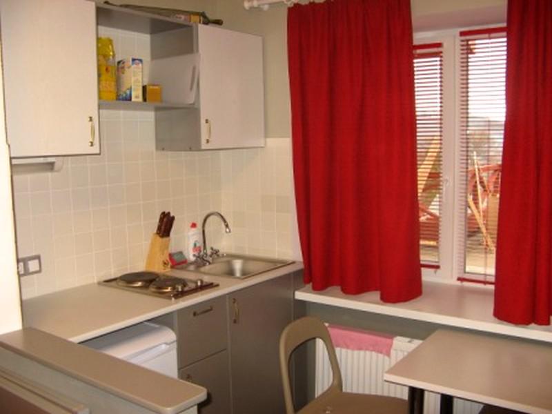 Фото 33 Медведя