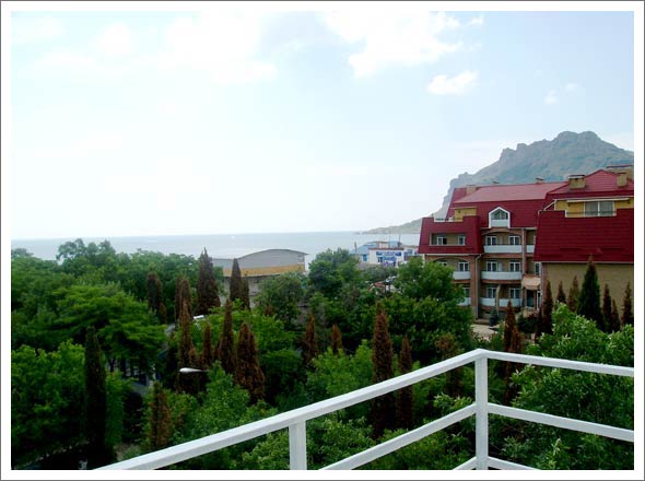 Фото Камелия-Кафа