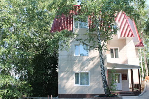 Фото Рыжий пёс