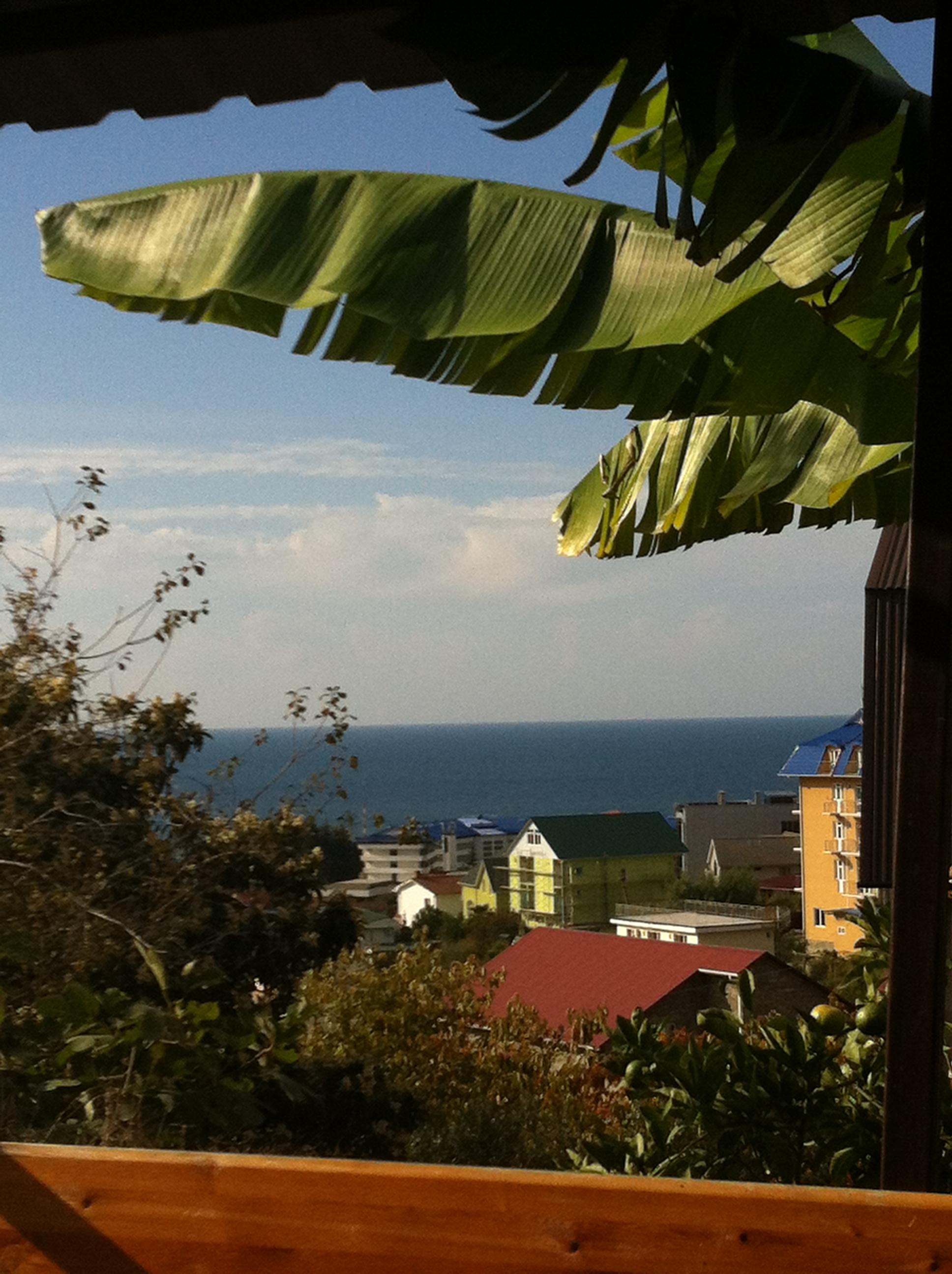 Фото Море Лето