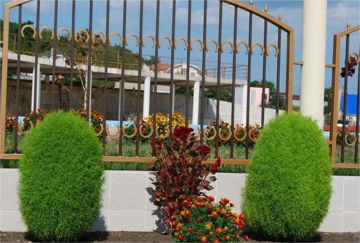 Фото Морской клуб