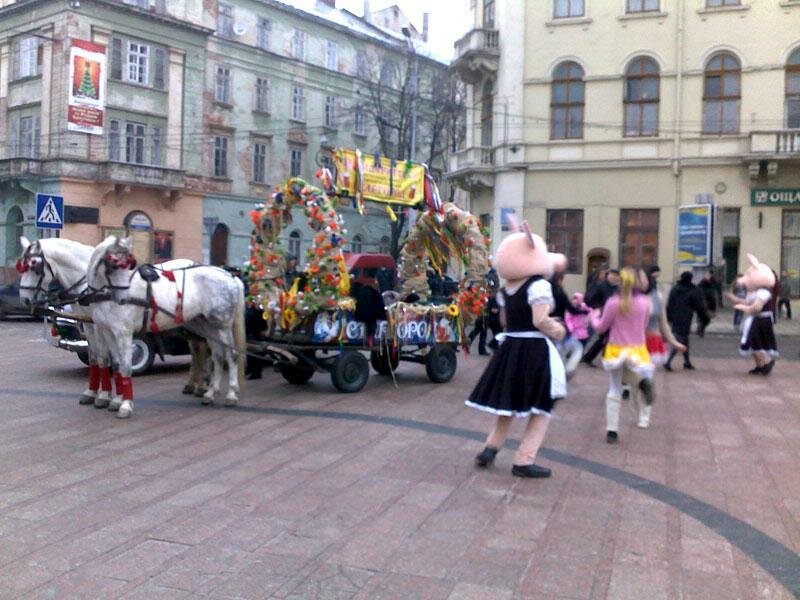 Restaurant Stargorod, Lviv, photo