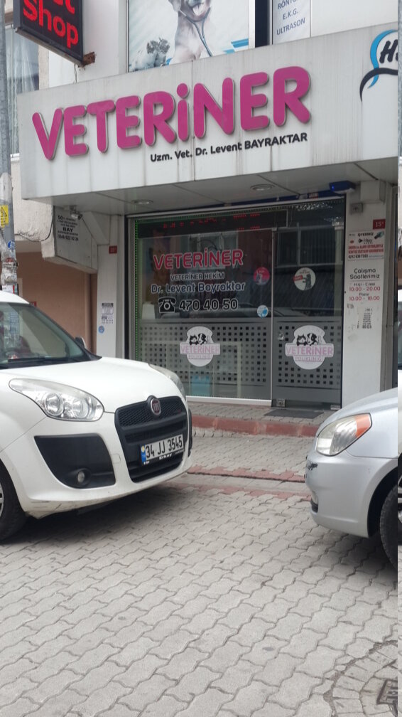Veterinary clinic Atakent Veterinary Polyclinic, Istanbul, photo