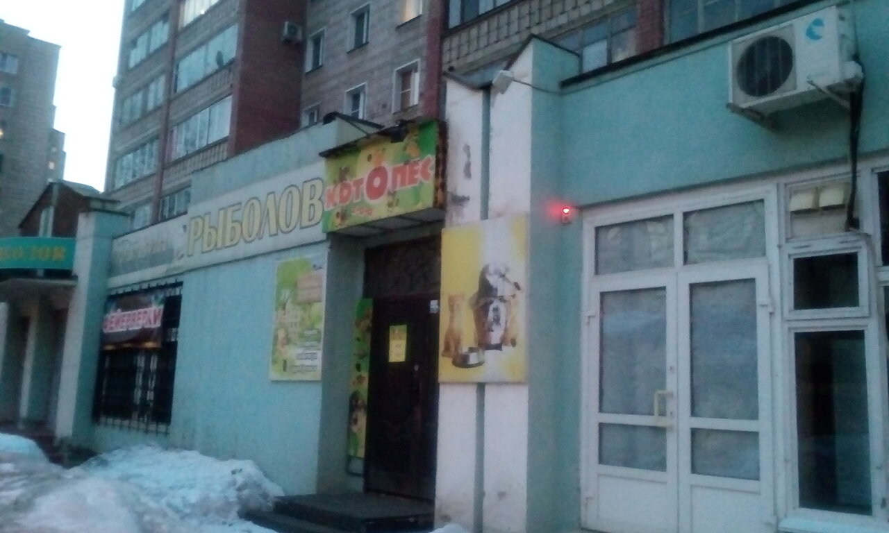 Магазины Котопес Саратов