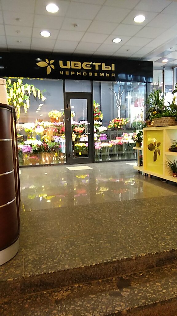 Copy center Мульти сервис, Kursk, photo