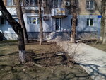 Veterinarnaya klinika Dobry doktor (улица Набережная Победы, 100), veterinary clinic