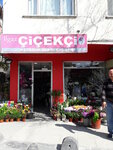 Ilgaz Florist (Istanbul, Bagcilar, Ataturk Avenue, 33A), flower shop