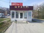 Salon Tsvetі (Kutuzova Street, 43Б/2) ، محل زهور
