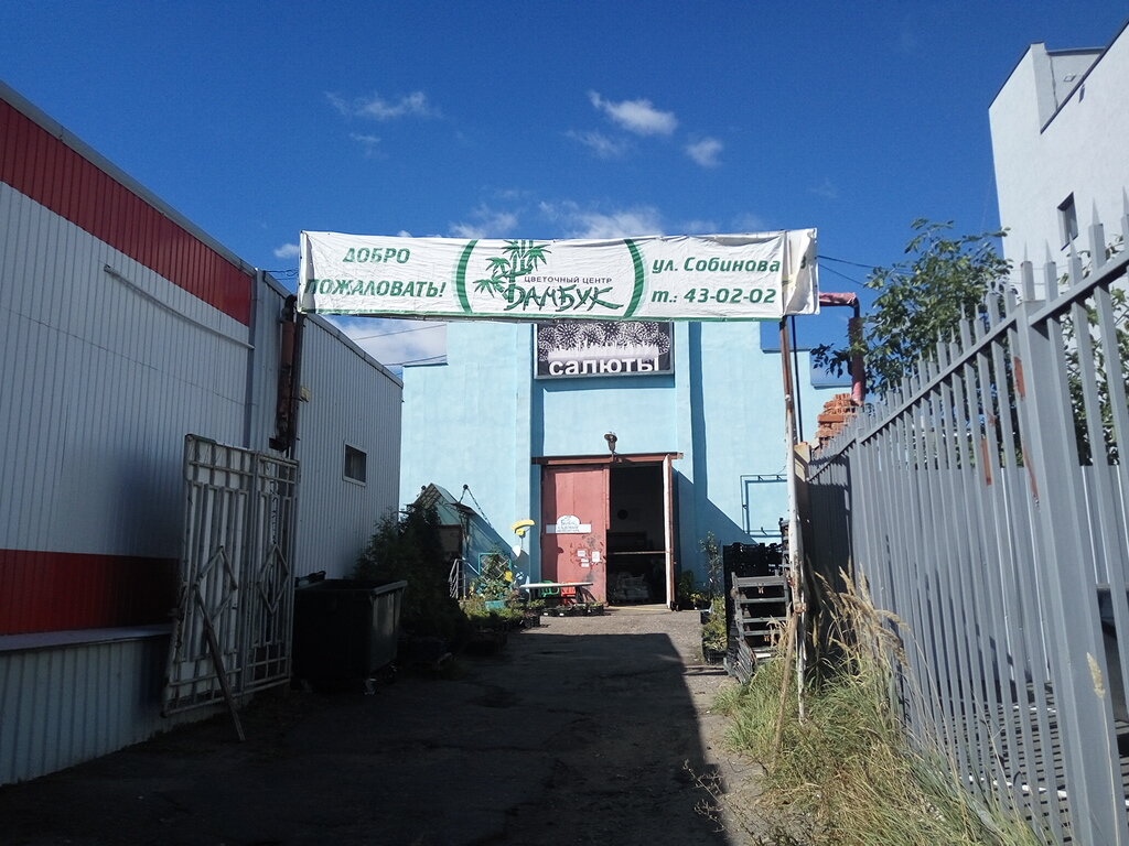 Магазин Бамбук Пенза Официальный Сайт