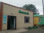 Apteka (Omskiy rayon, selo Troitskoye), pharmacy