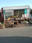 Ovoshchnoy magazin (selo Vysokaya Gora, Bolshaya Krasnaya ulitsa, 168А) ، متجر بيع خضر خضروات طازجة